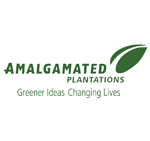 amalgamated